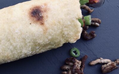 OPSKRIFT: LÆKRE BLØDE TORTILLAS/WRAPS